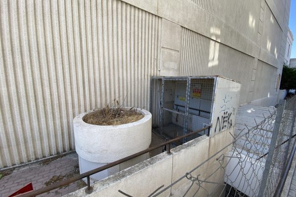 IMG_1707 IMG_1707