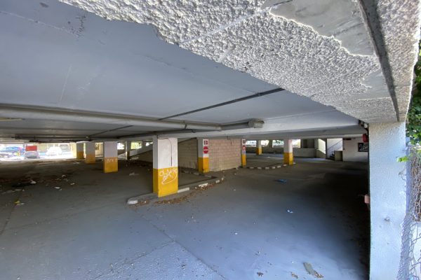 IMG_1724 IMG_1724
